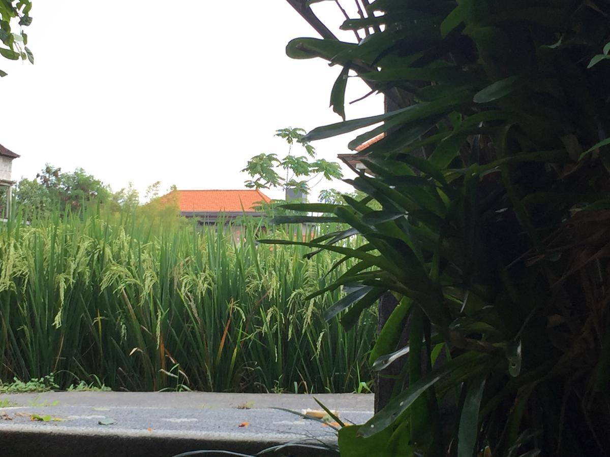 Depong House Daire Ubud Dış mekan fotoğraf